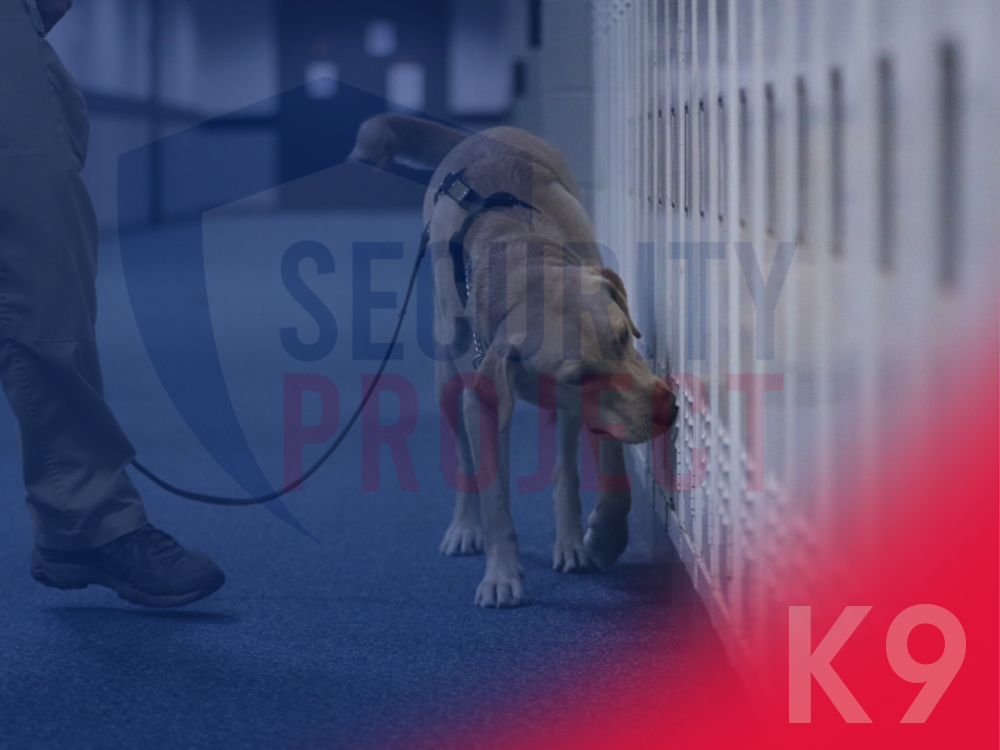 Security Project Servicios de Inspección K9